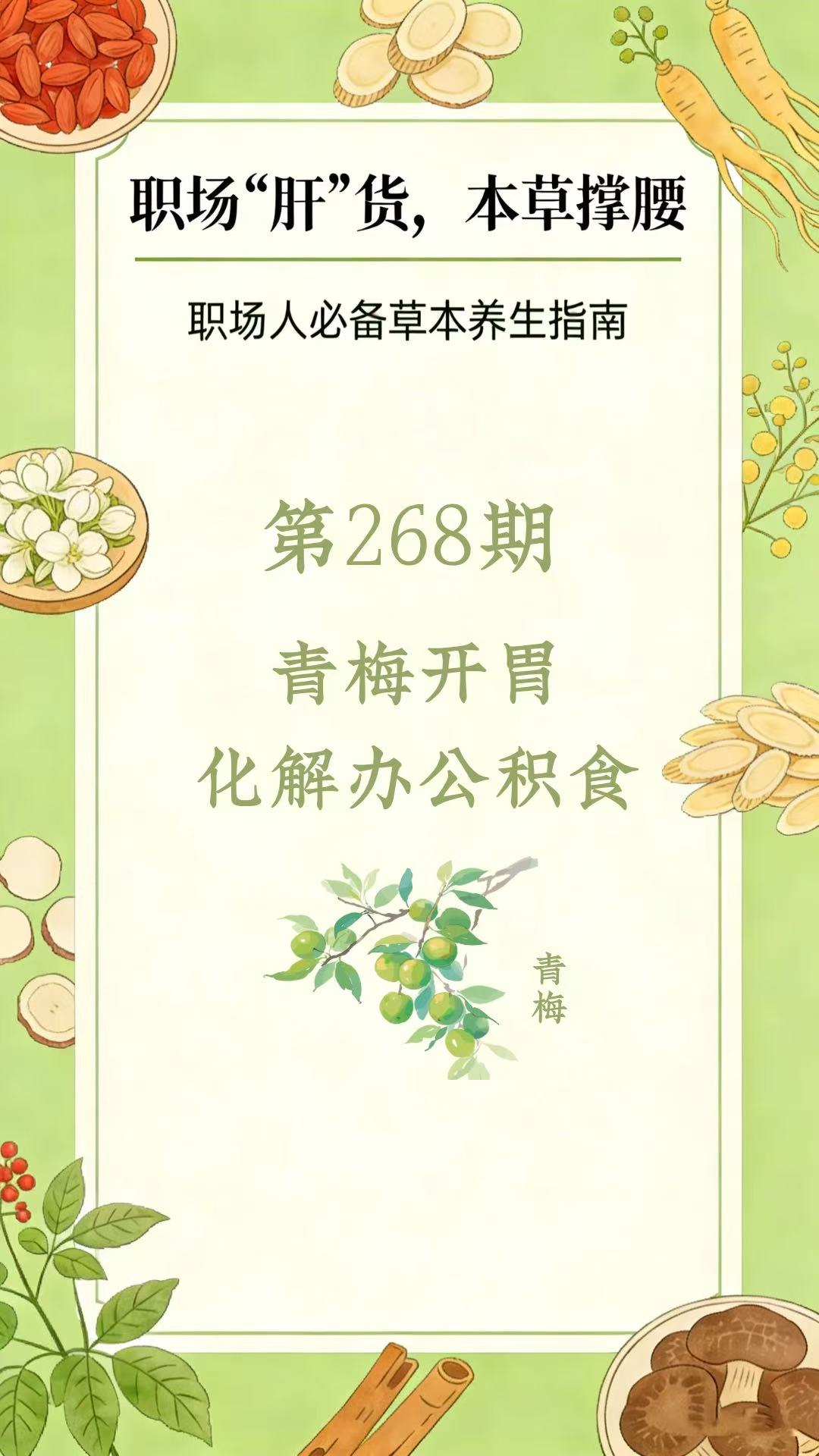 药材科普