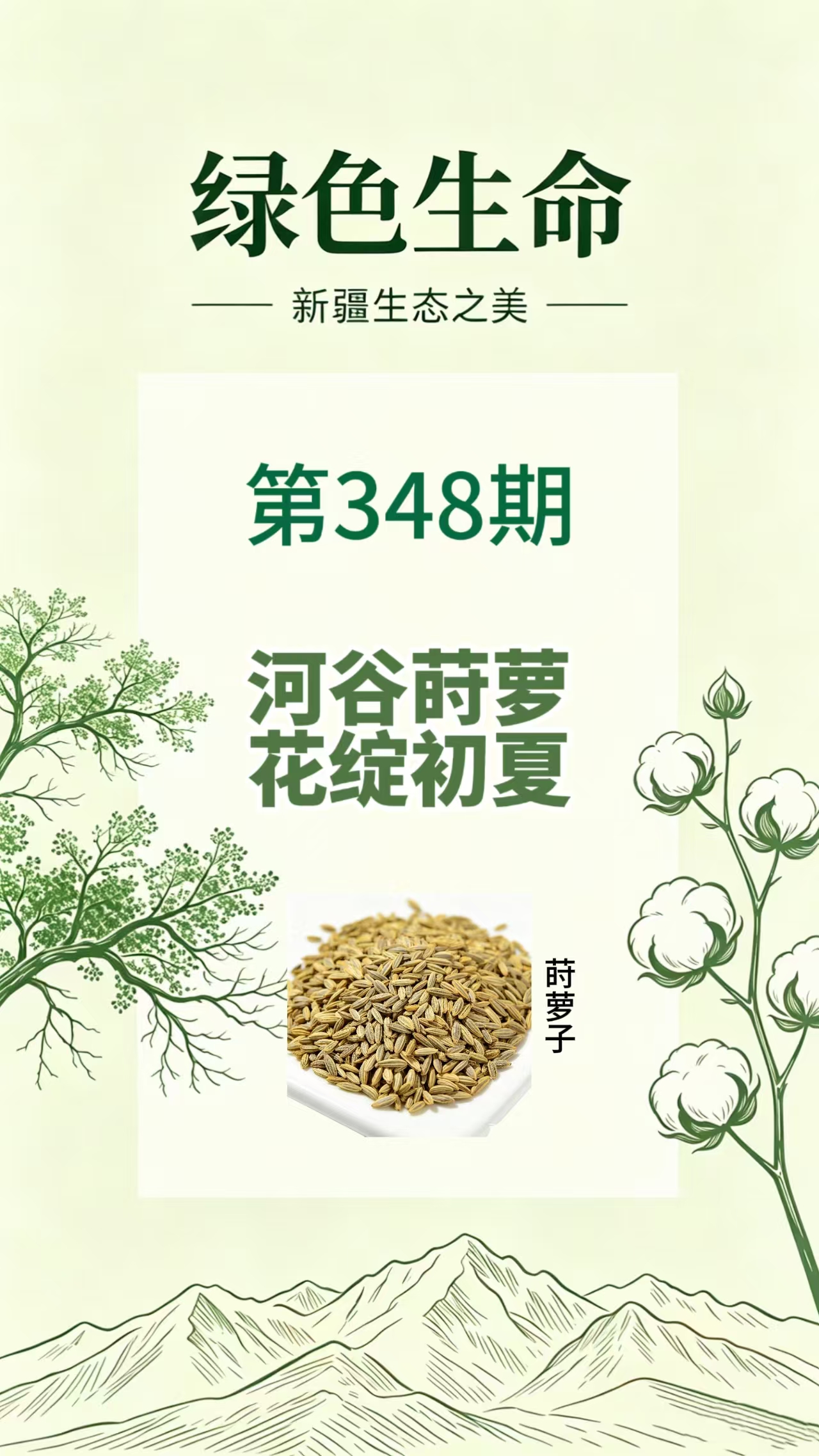 药材科普