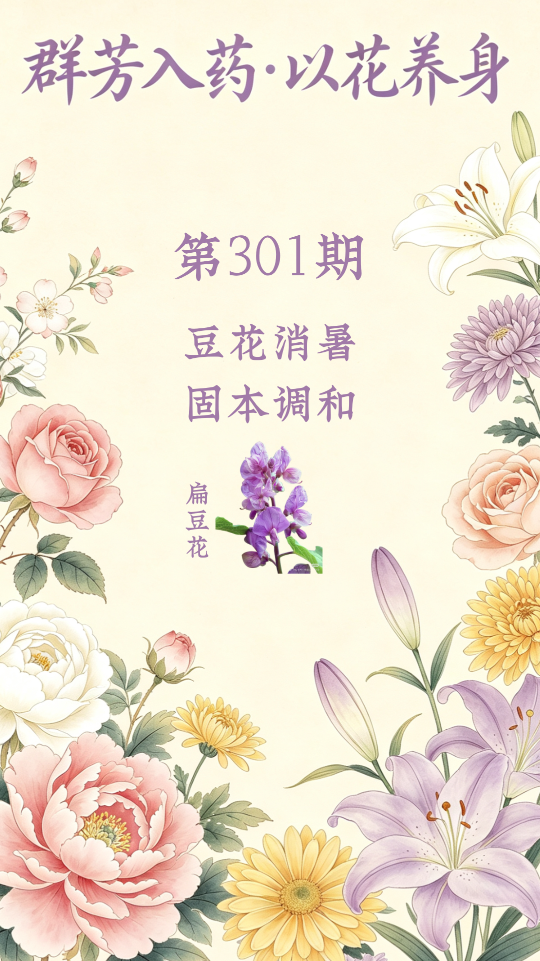 药材科普