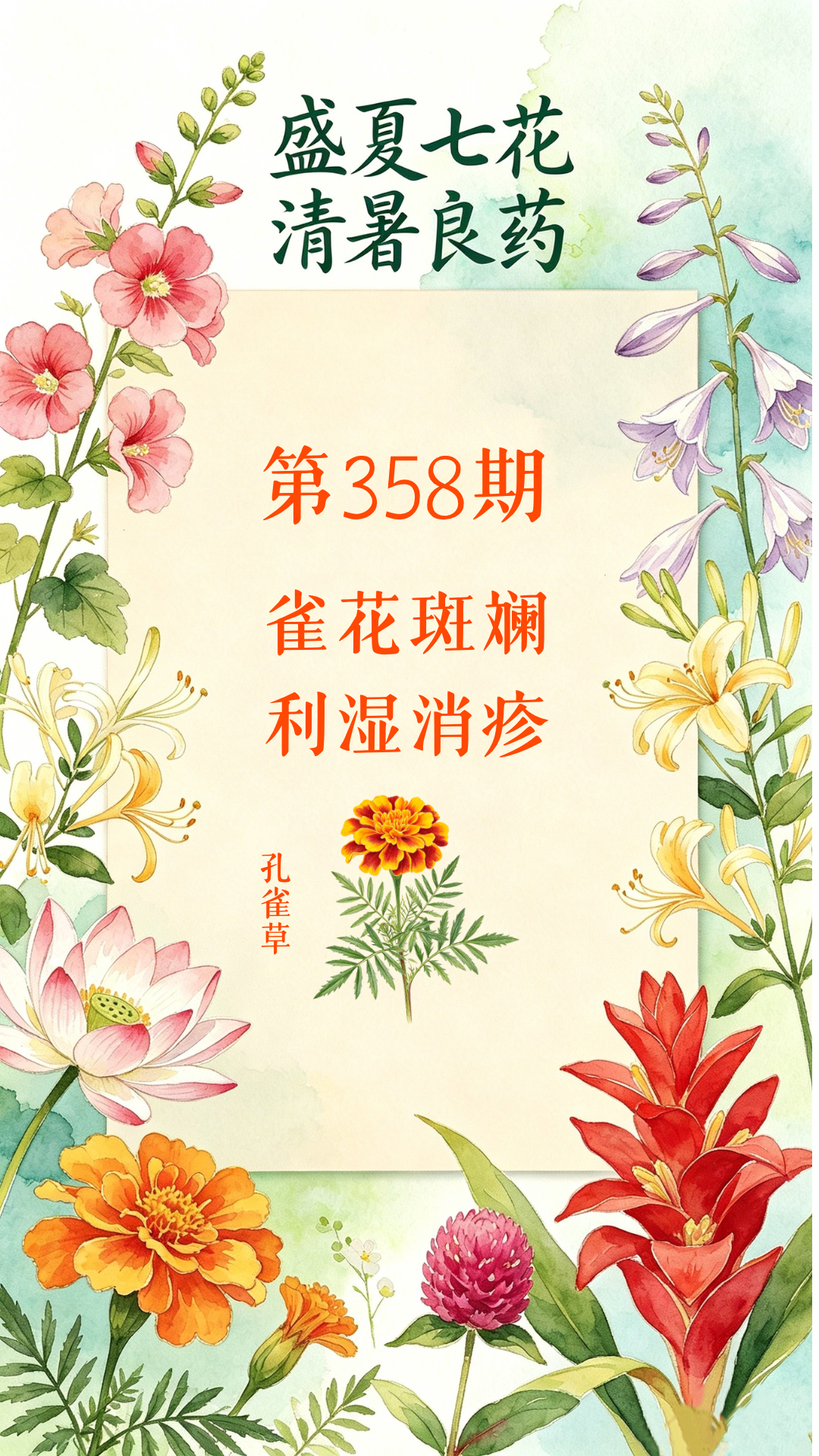 药材科普