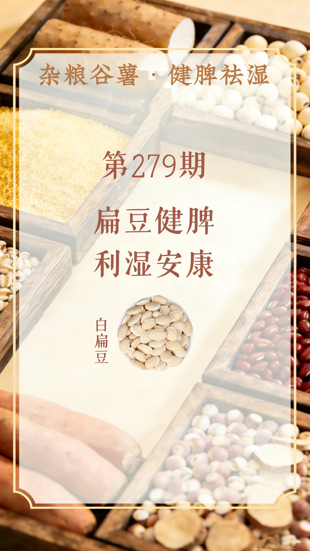 药材科普