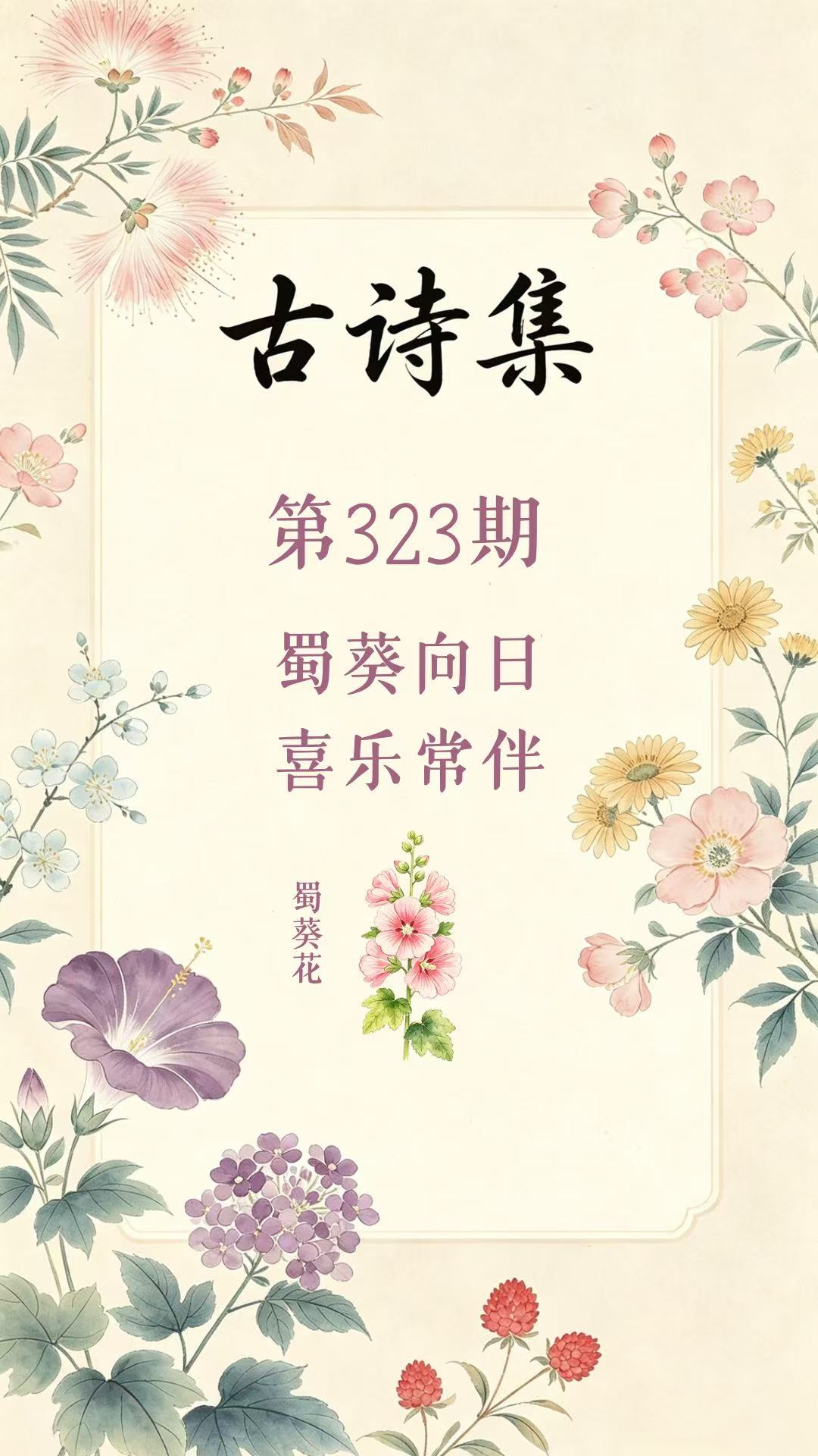 药材科普