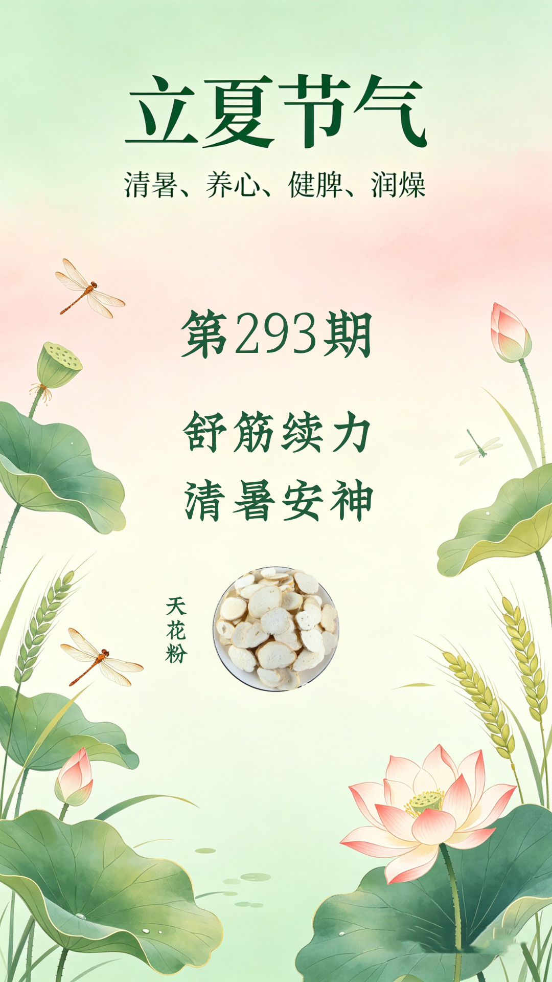药材科普
