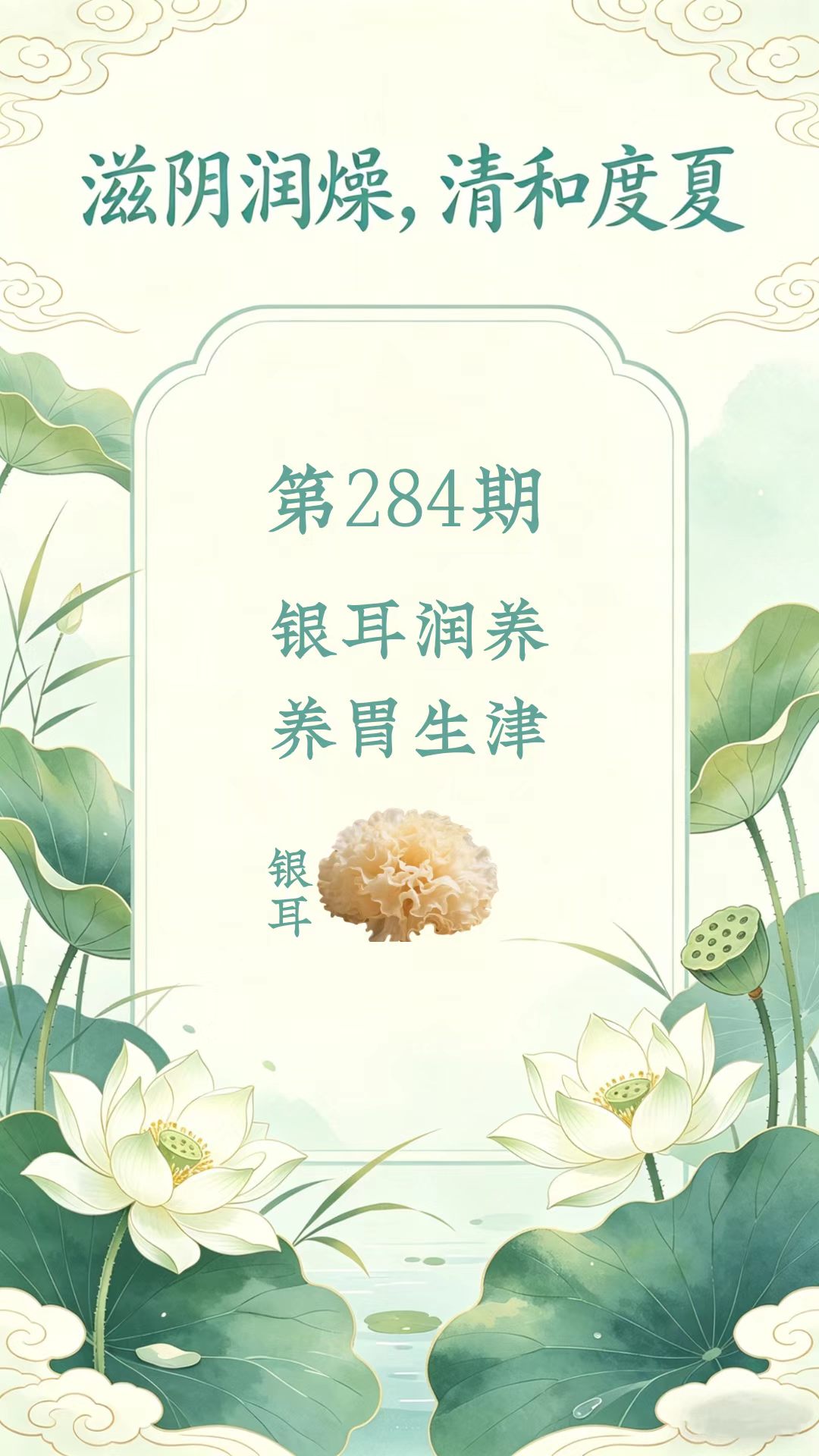 药材科普