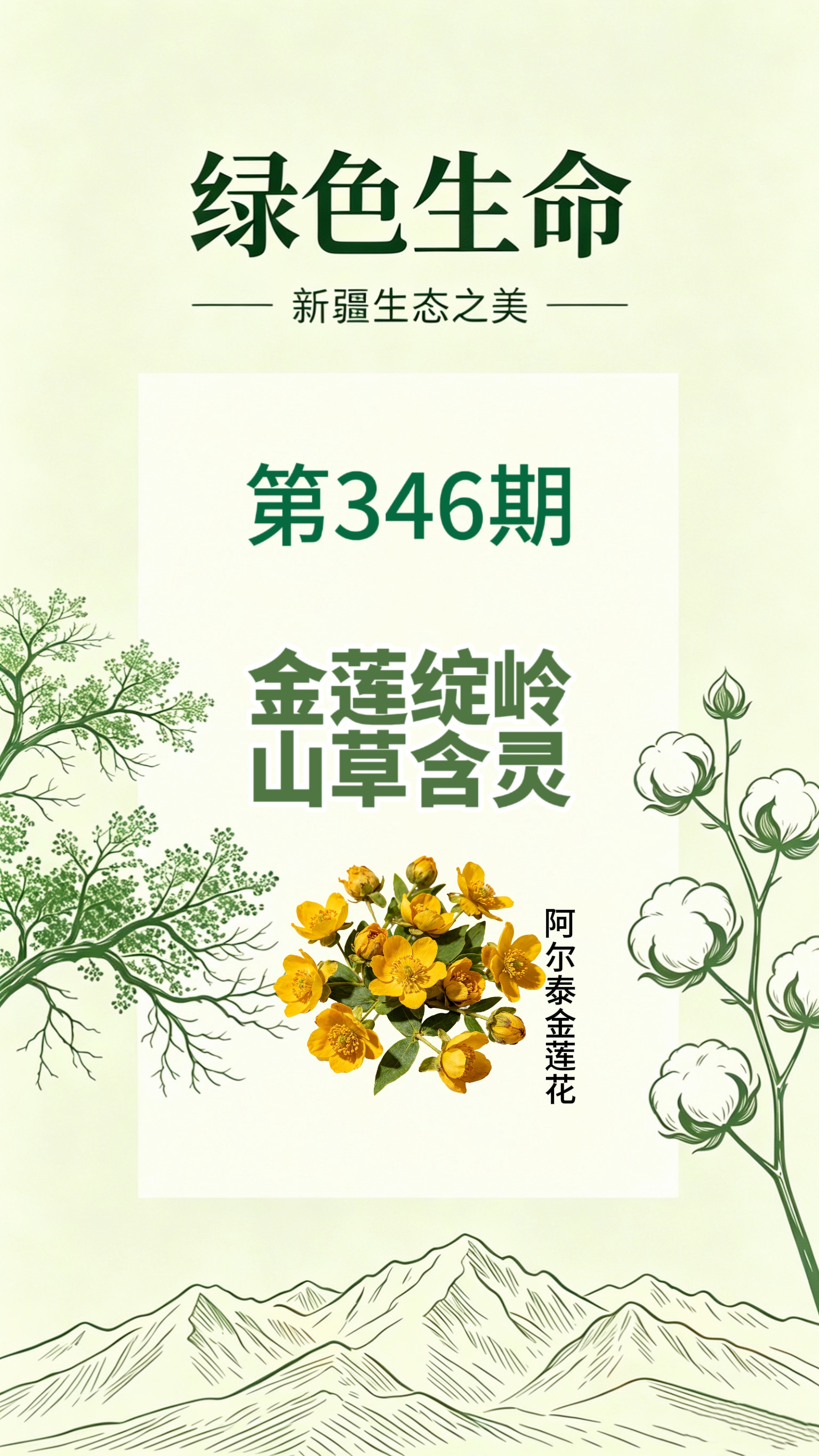 药材科普