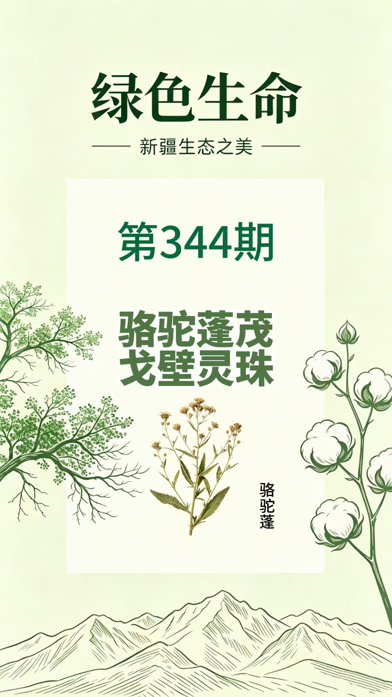 药材科普