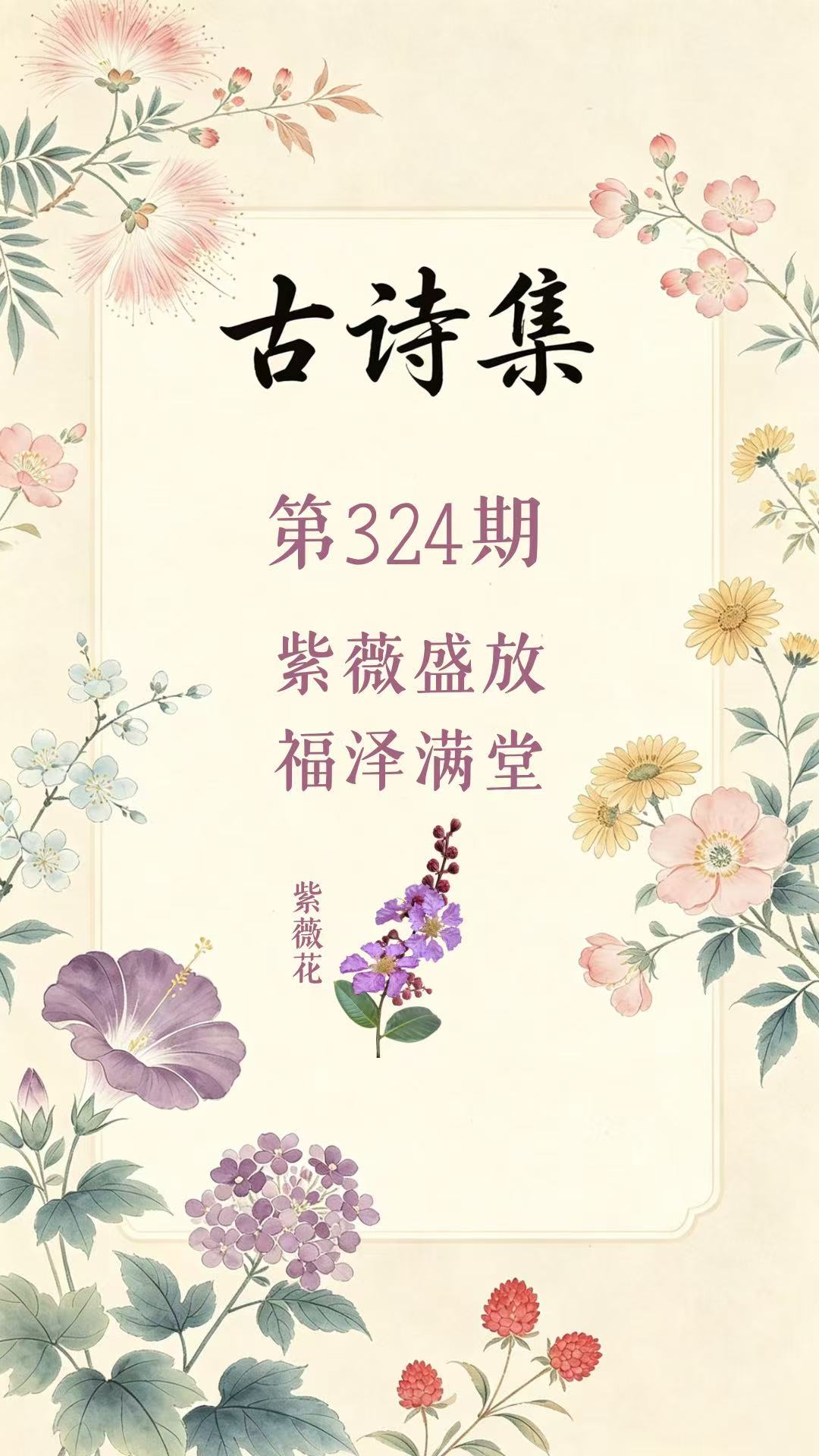 药材科普