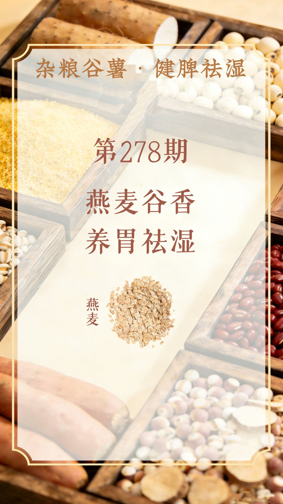 药材科普