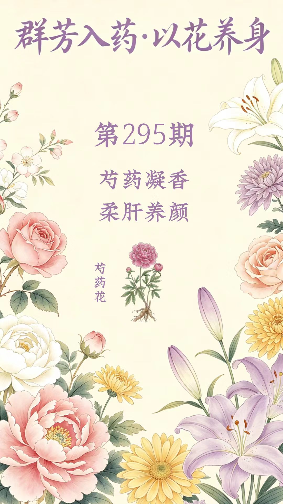 药材科普