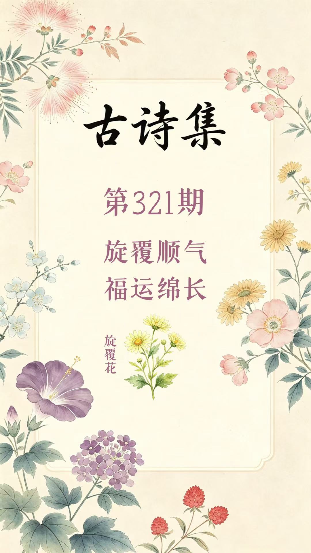 药材科普
