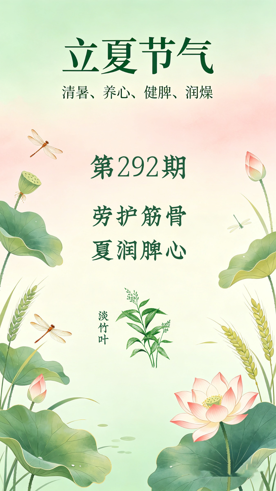 药材科普