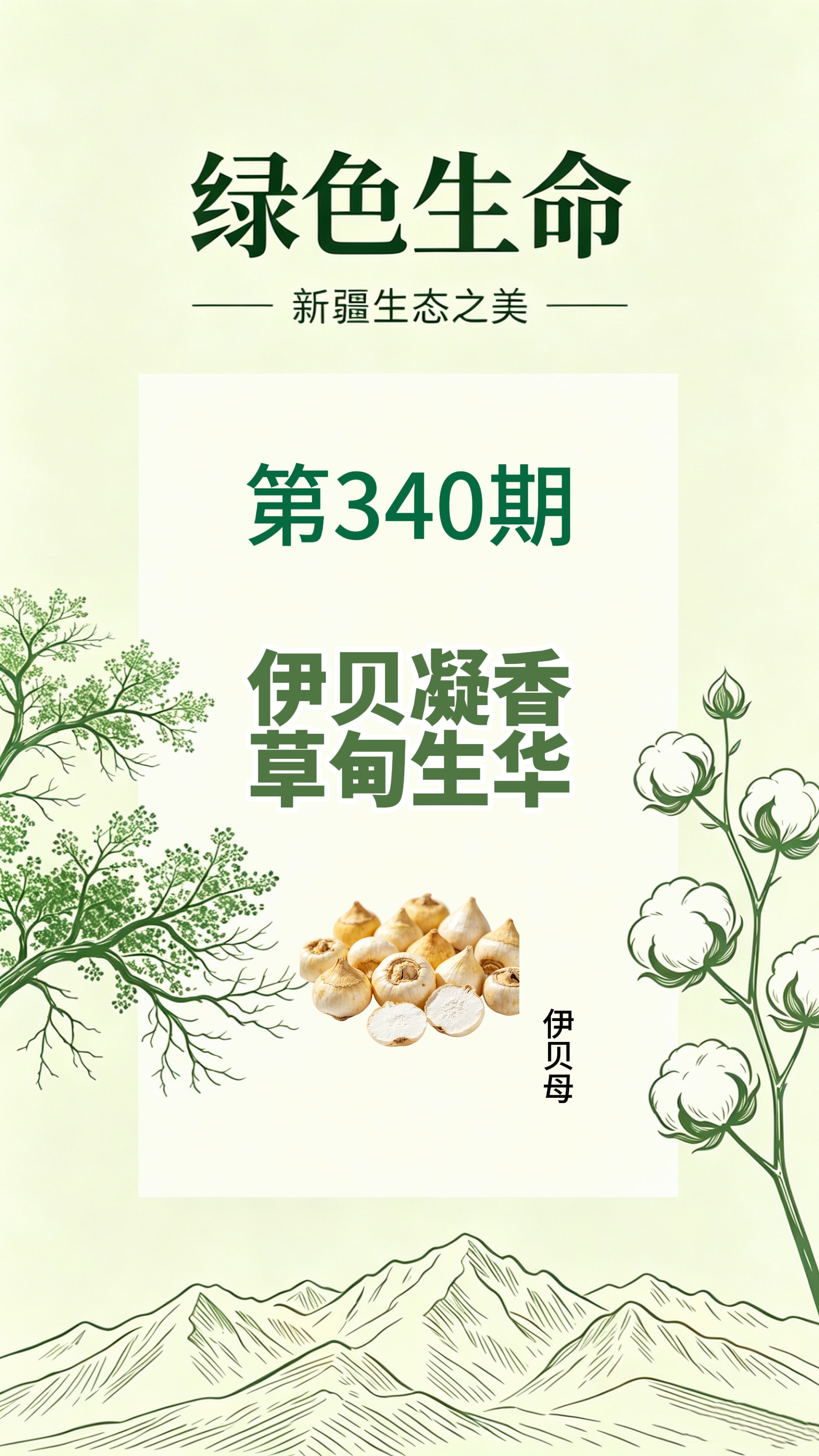 药材科普