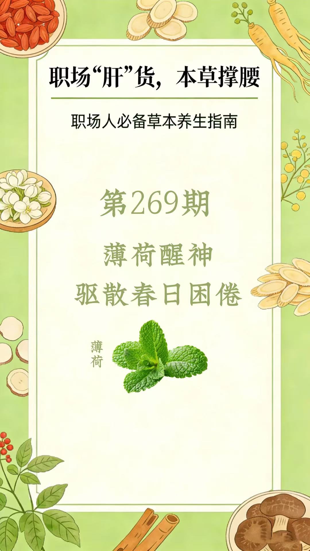 药材科普