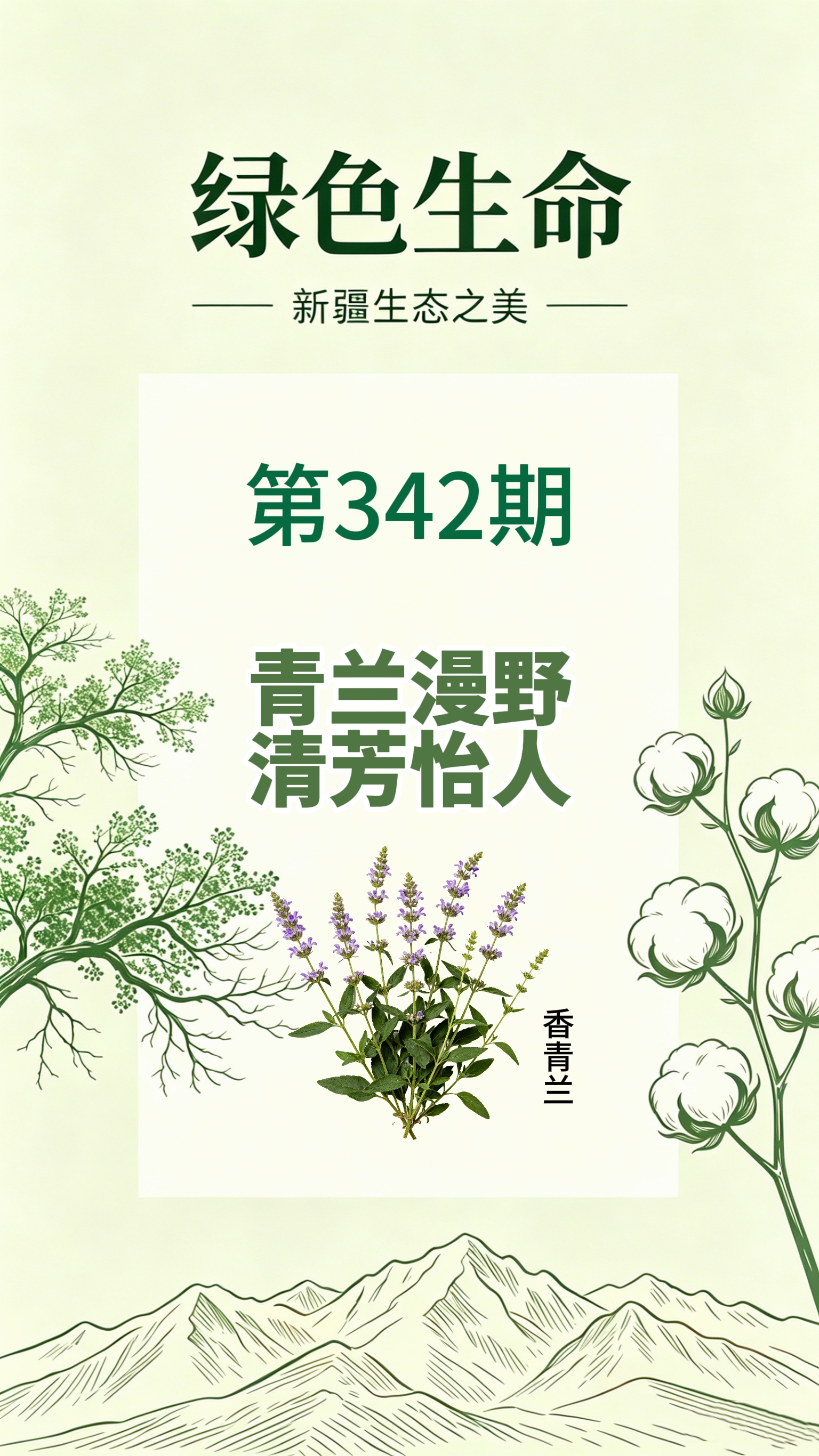 药材科普