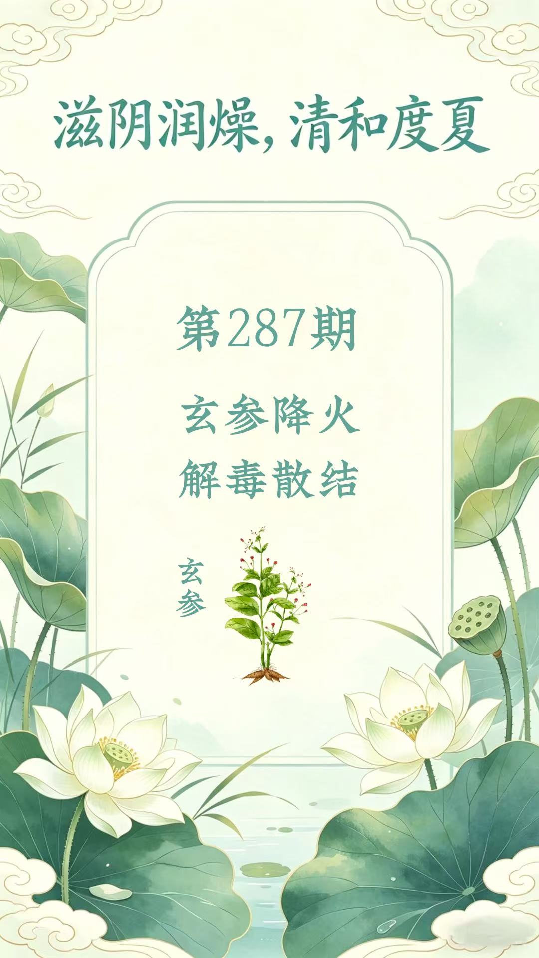 药材科普