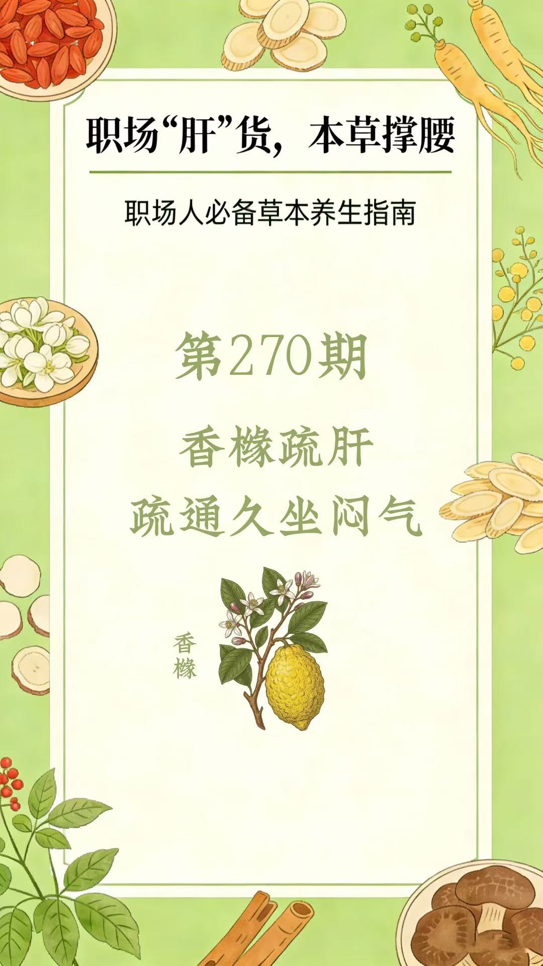 药材科普