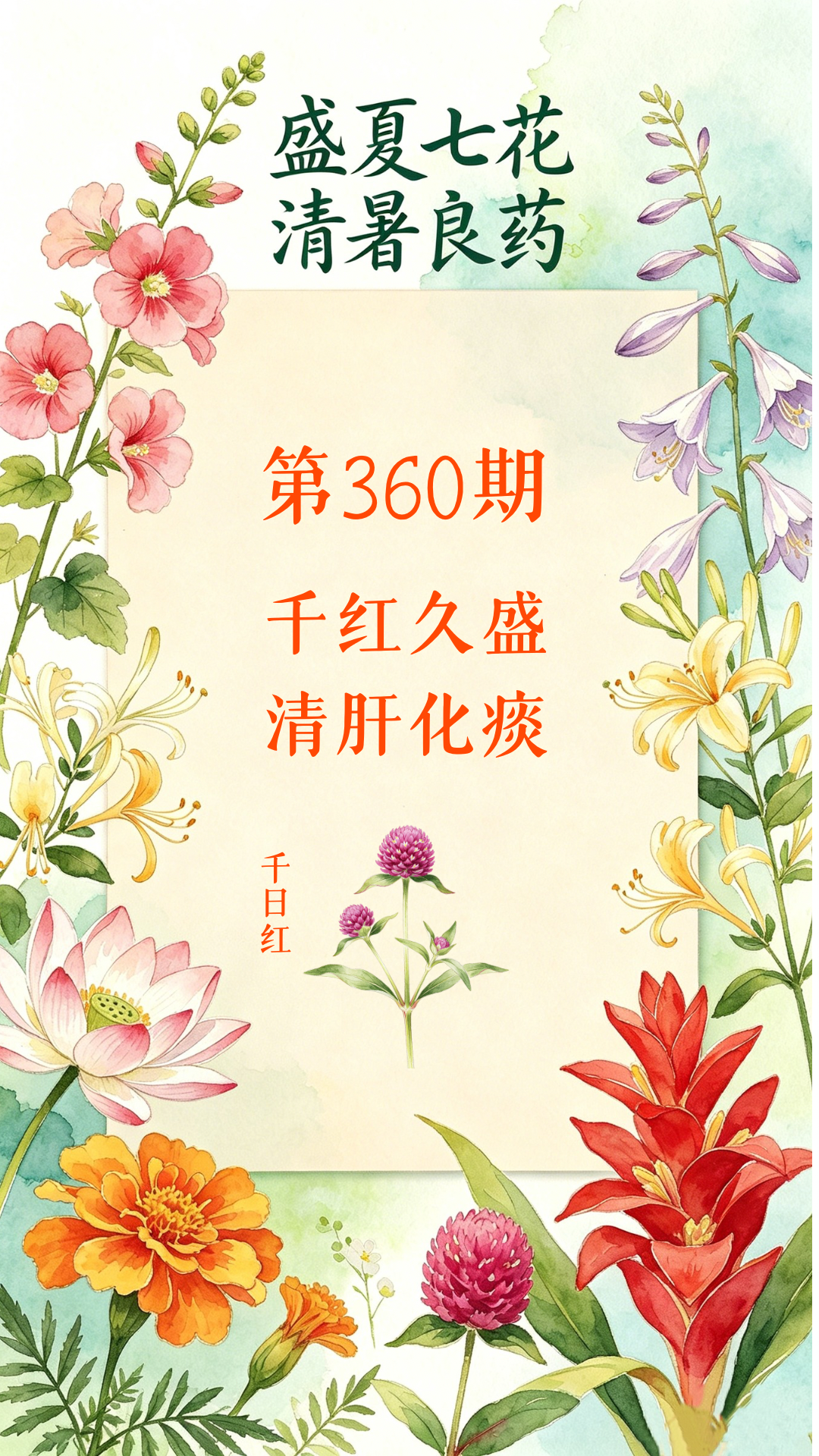 药材科普