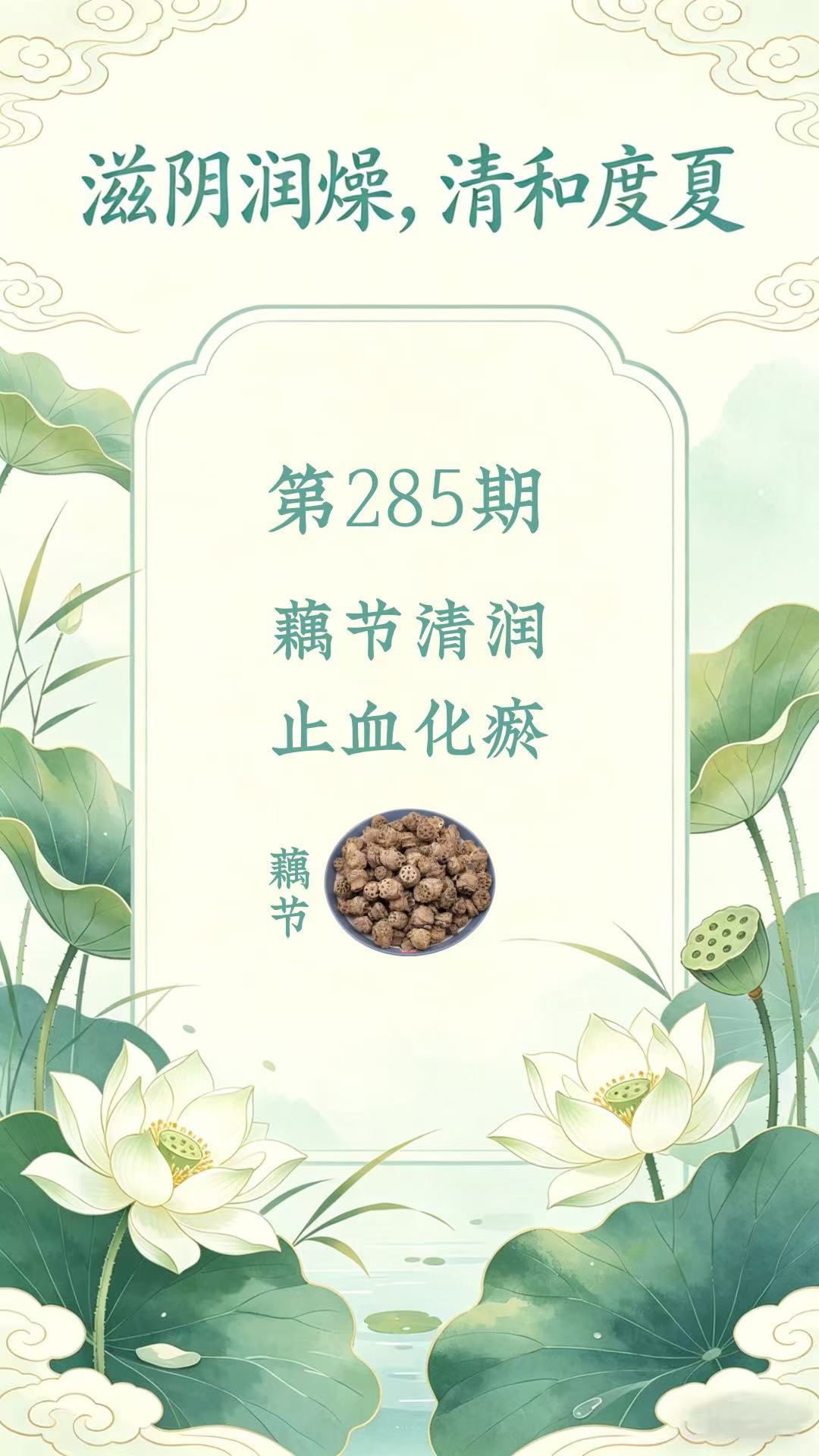 药材科普
