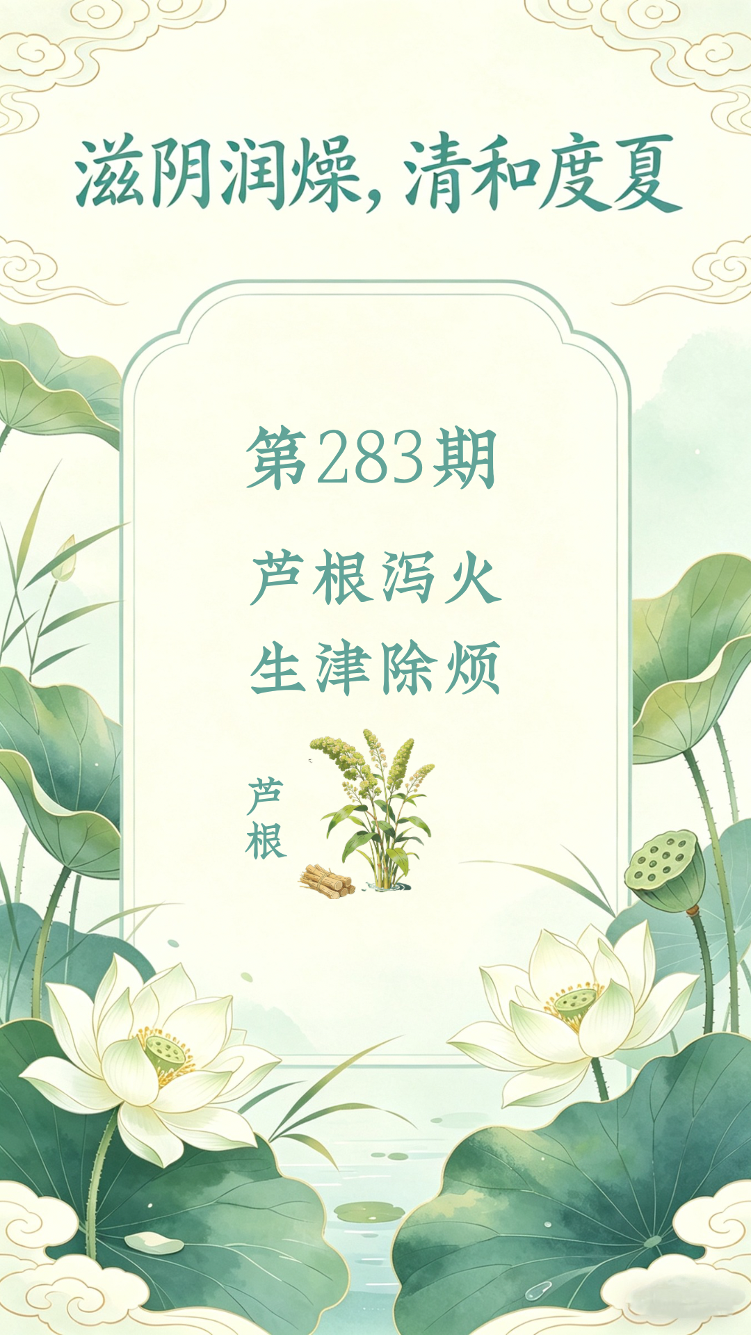 药材科普