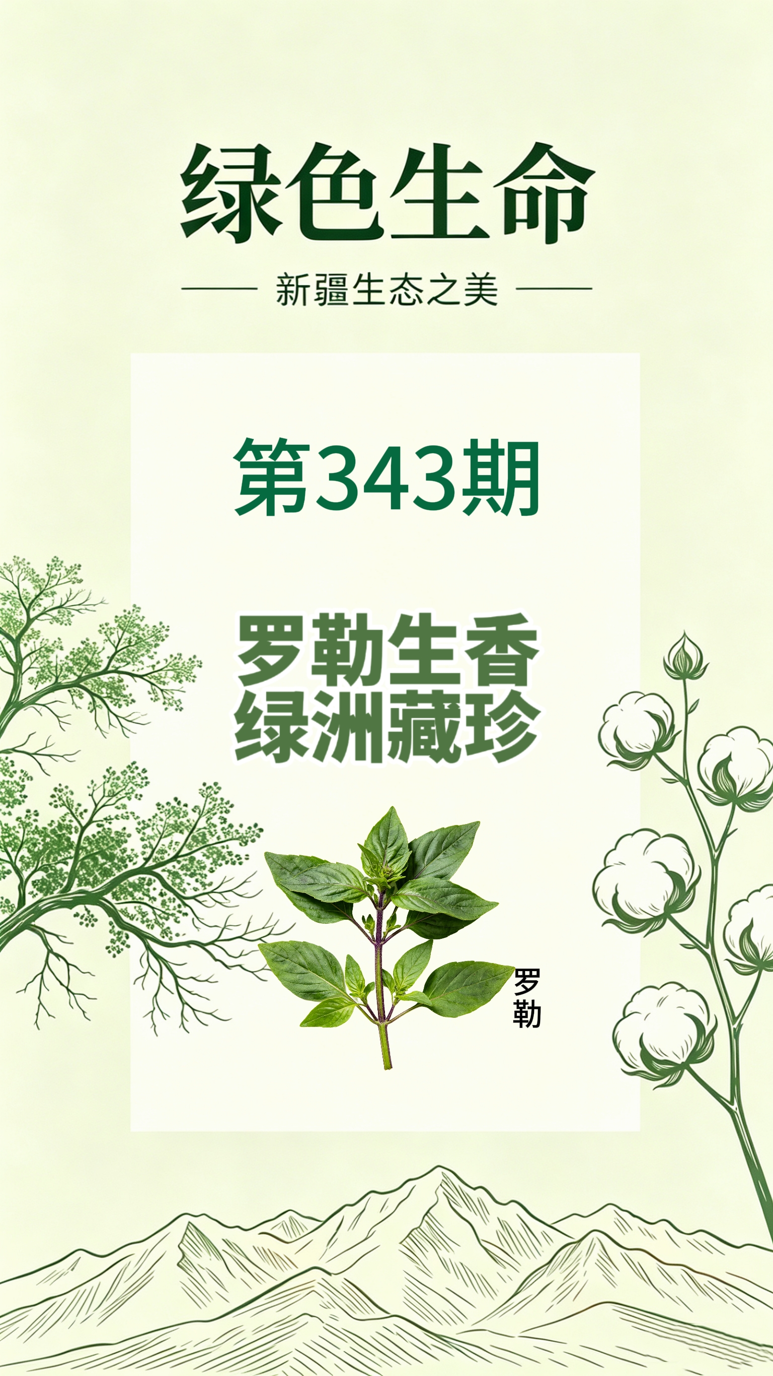 药材科普