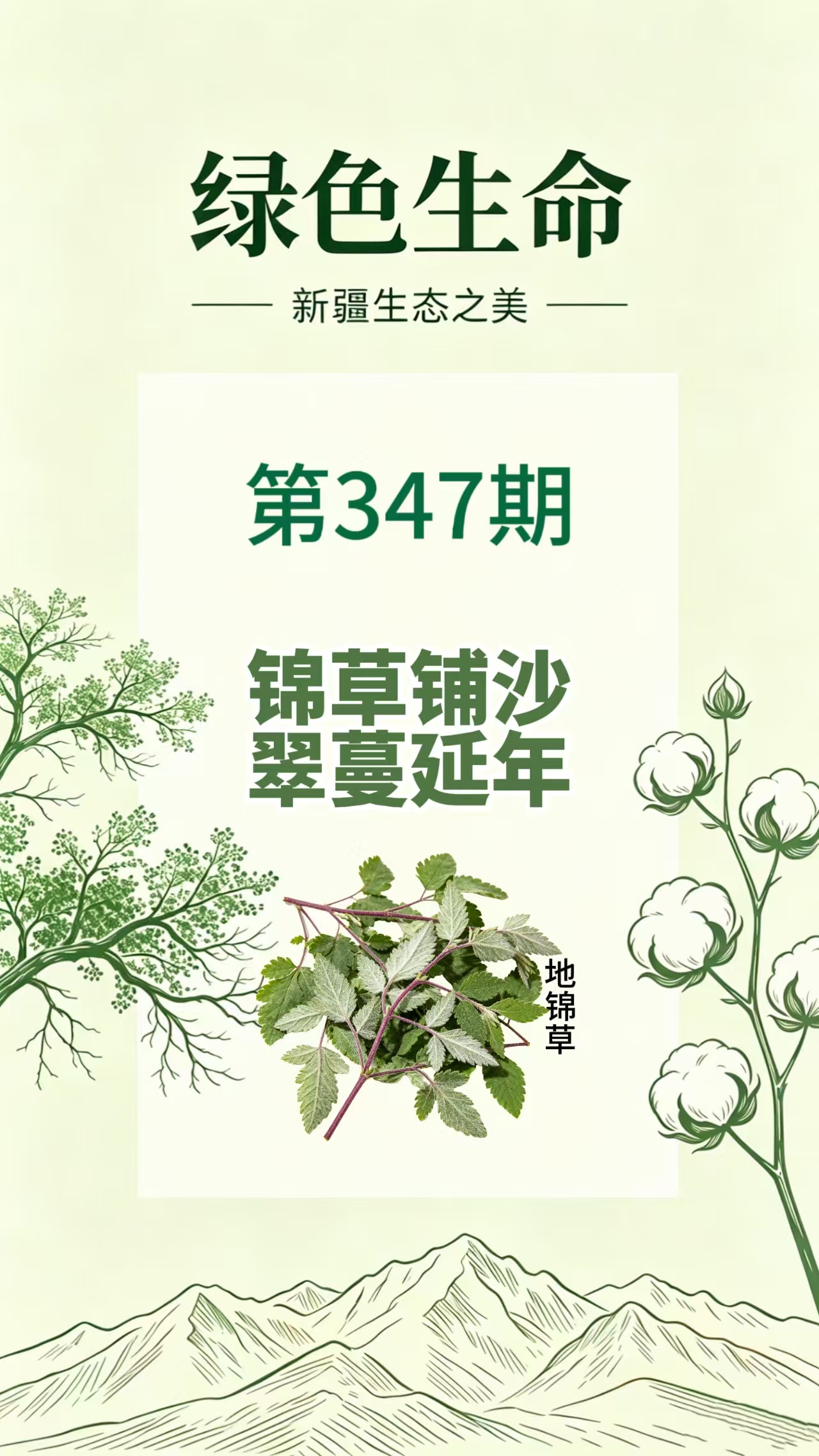 药材科普