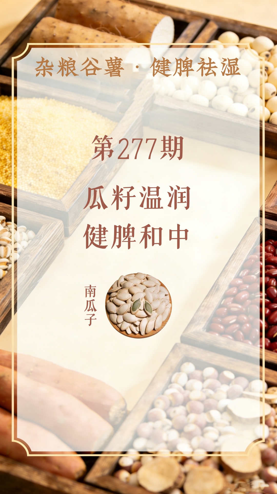 药材科普