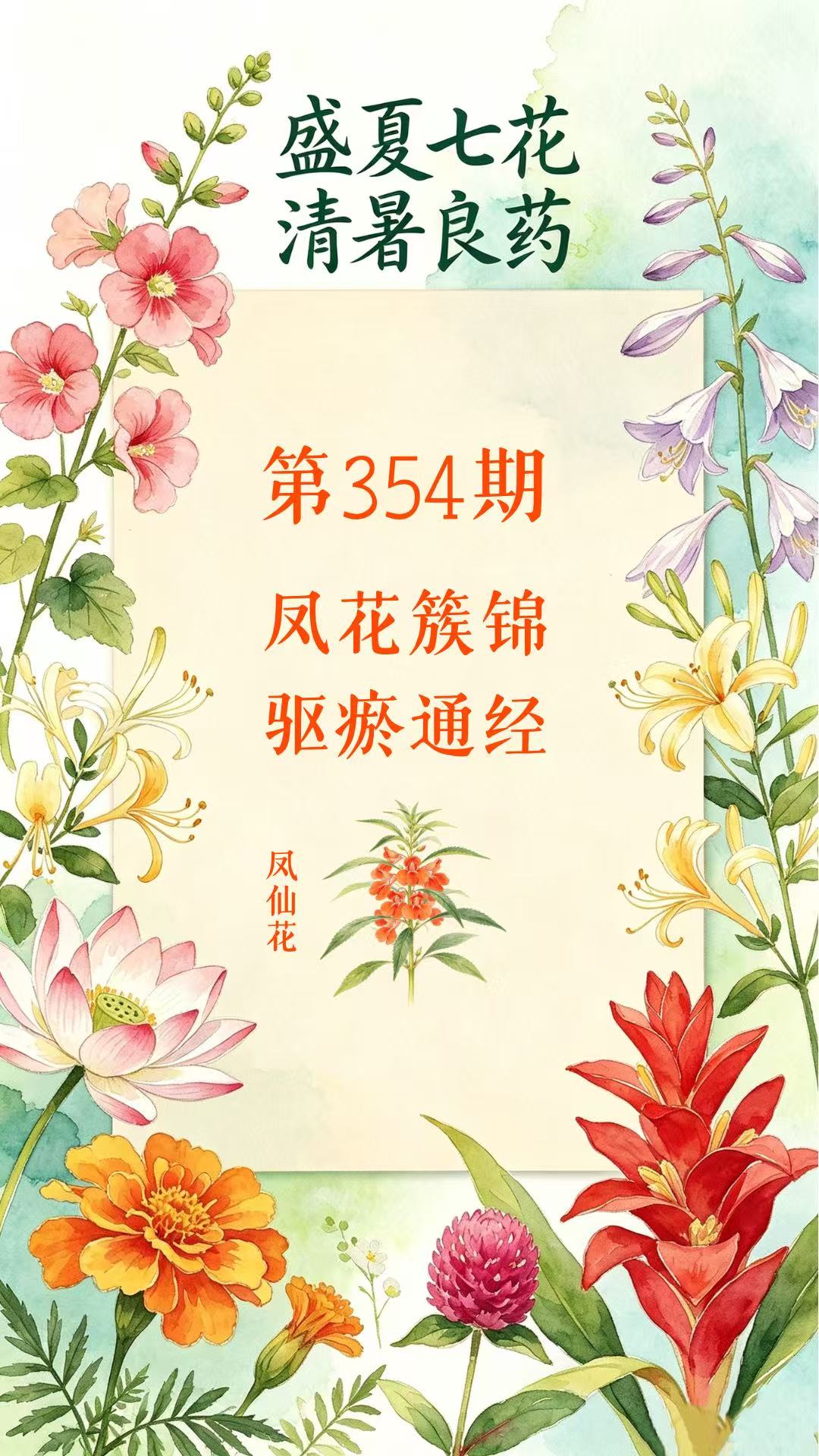 药材科普