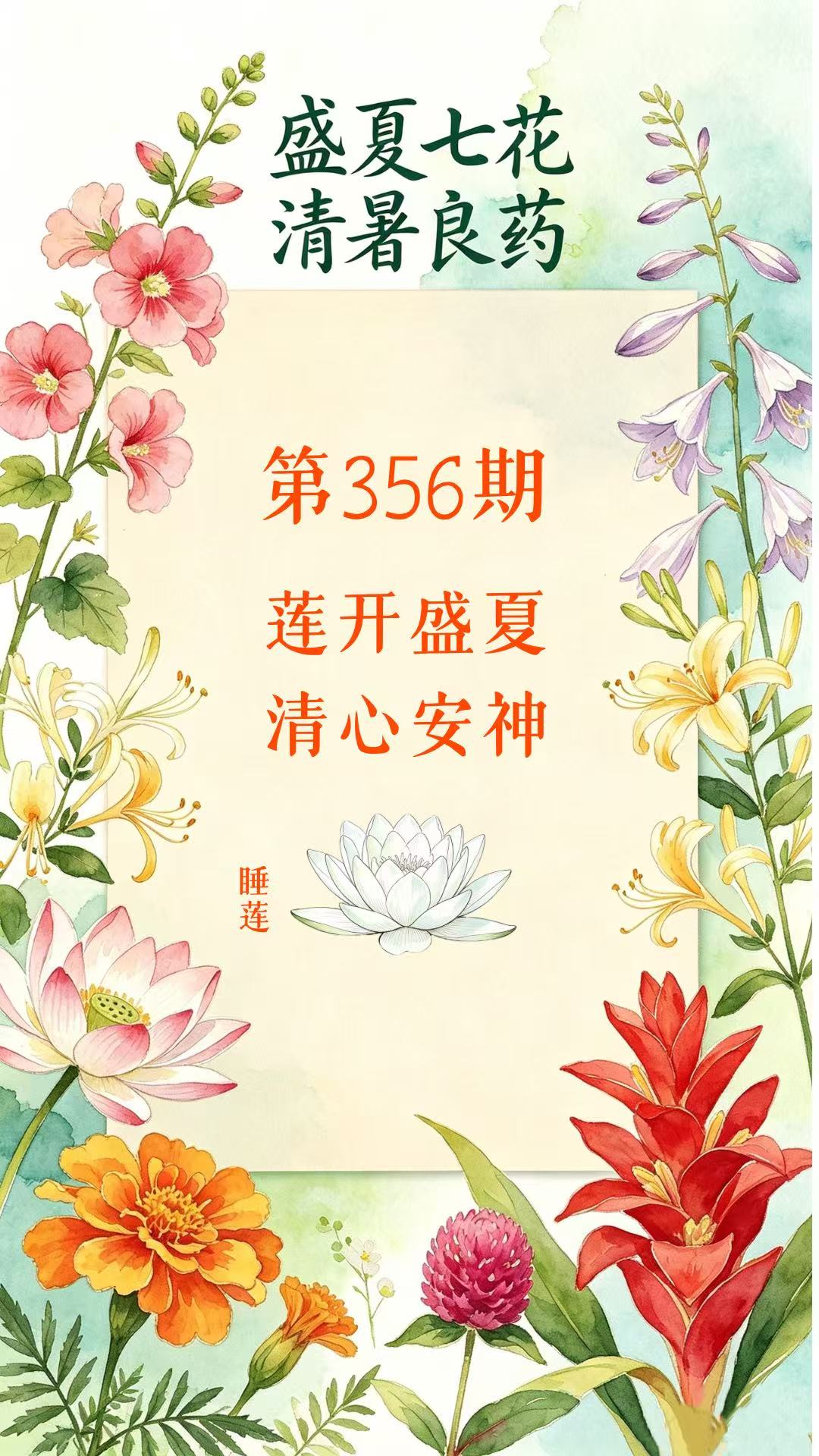 药材科普