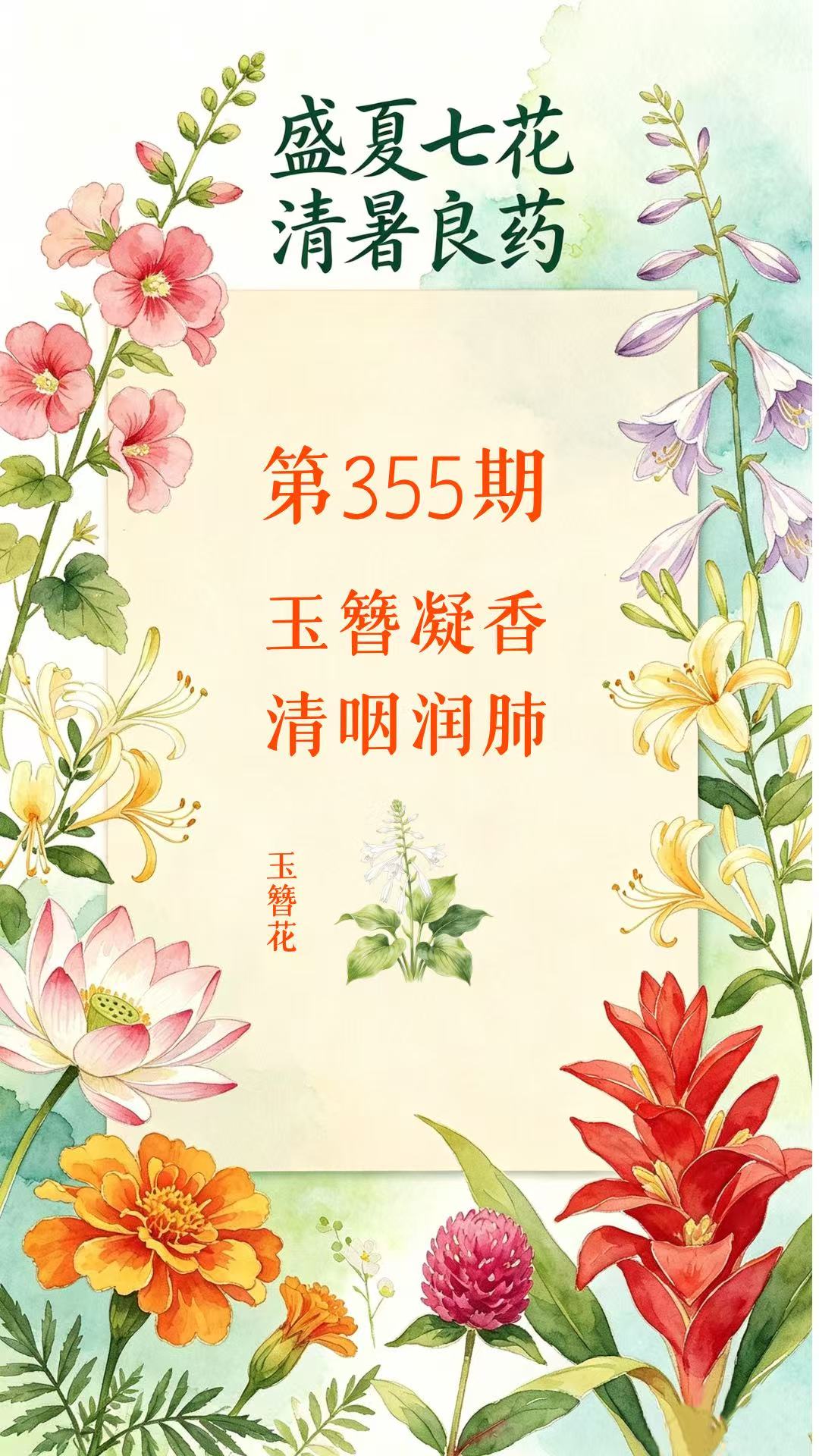 药材科普