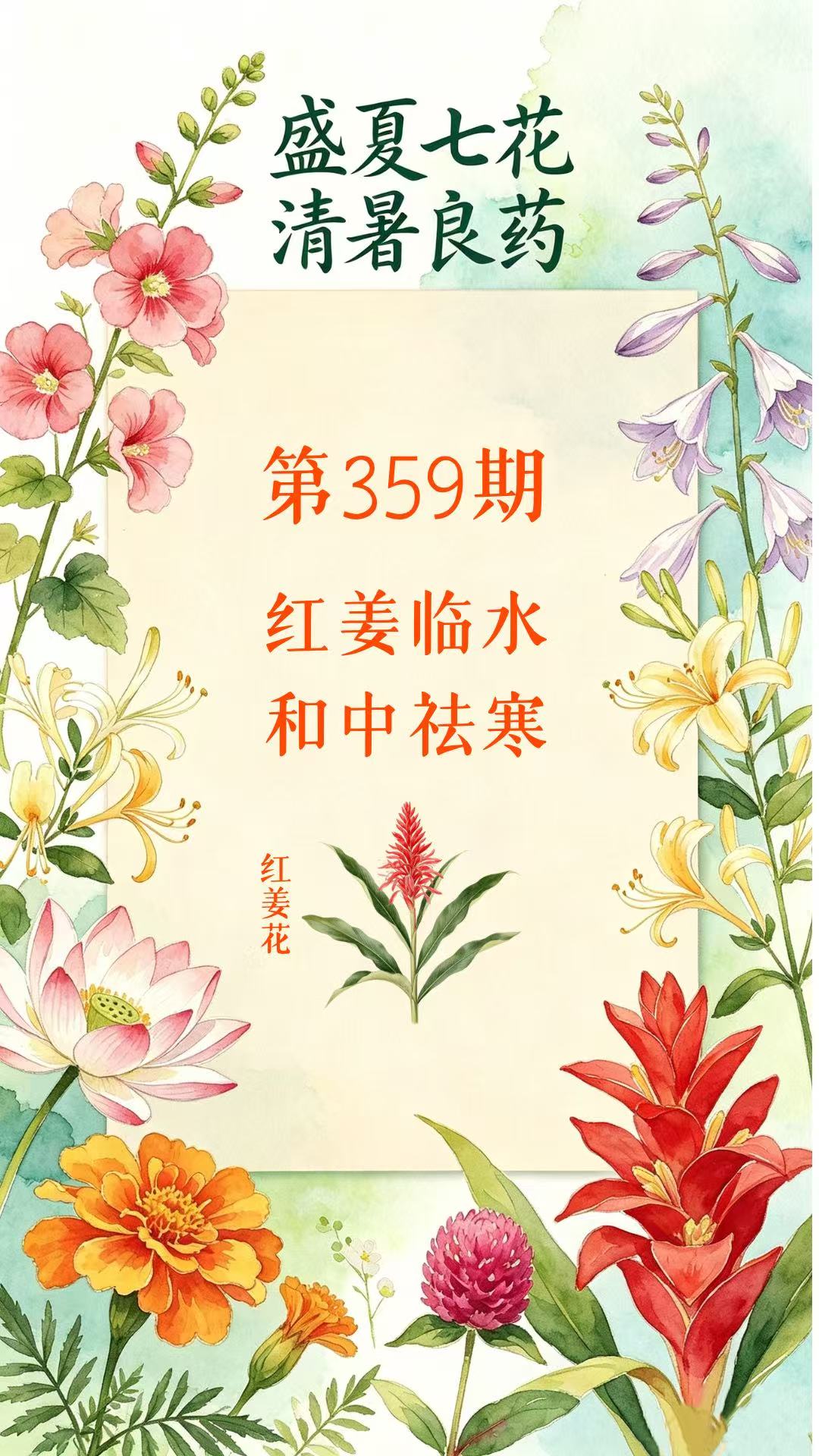 药材科普