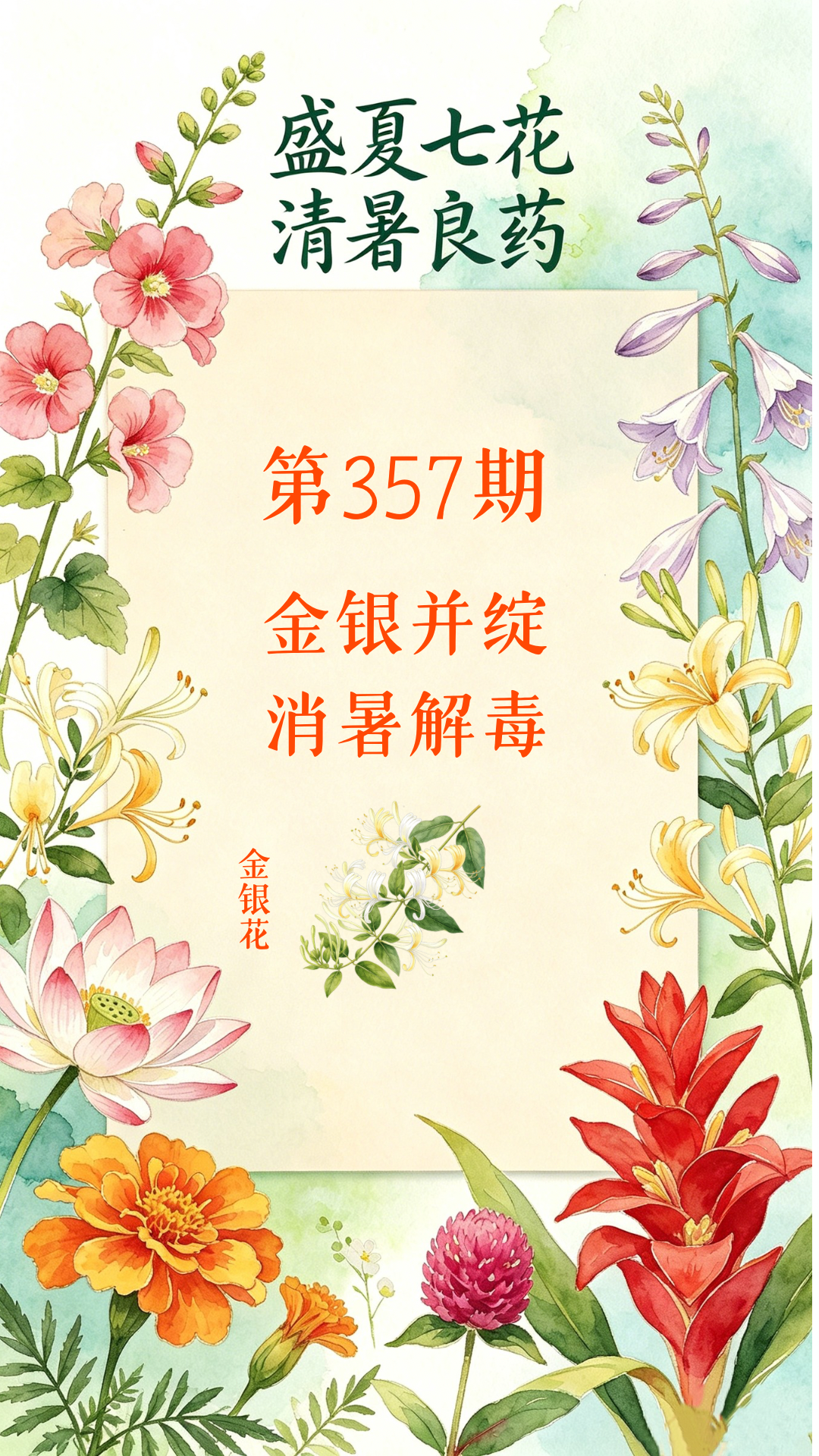 药材科普