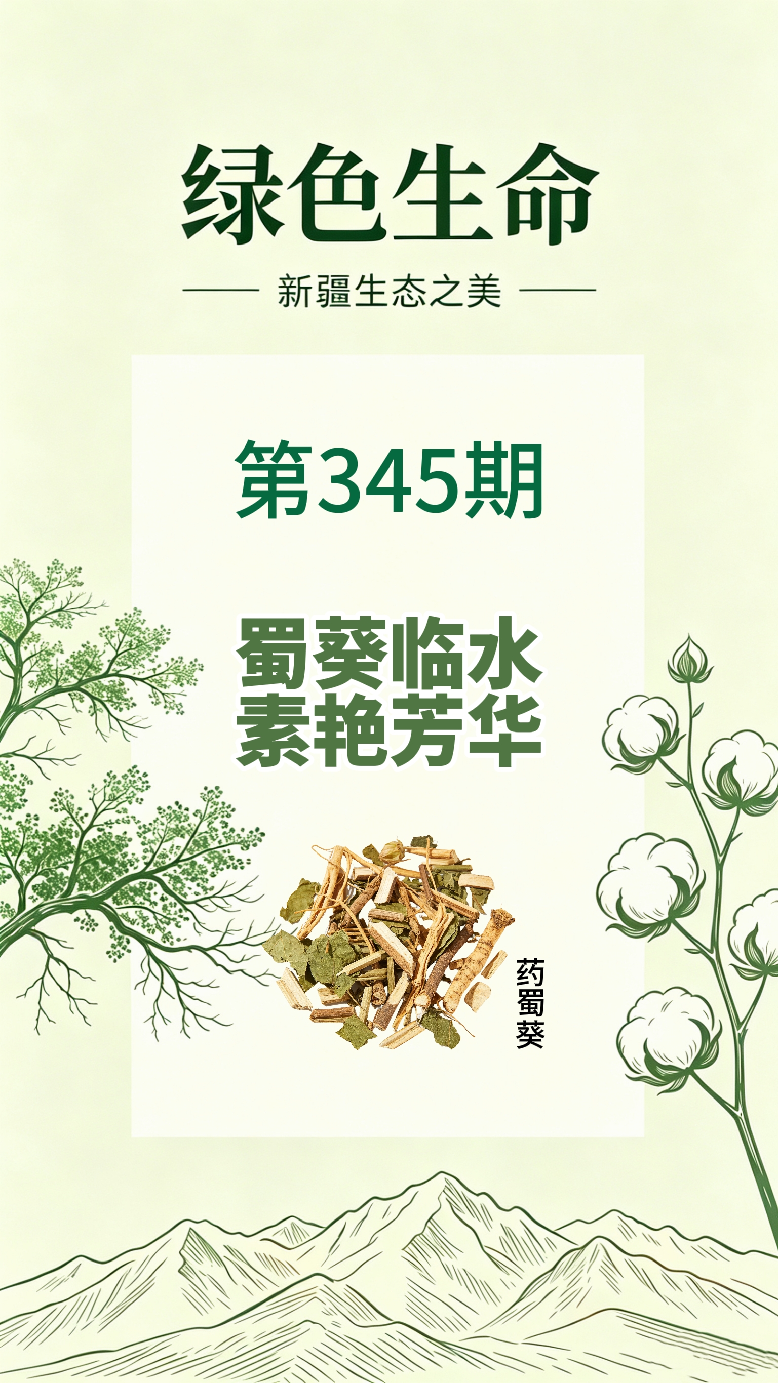 药材科普