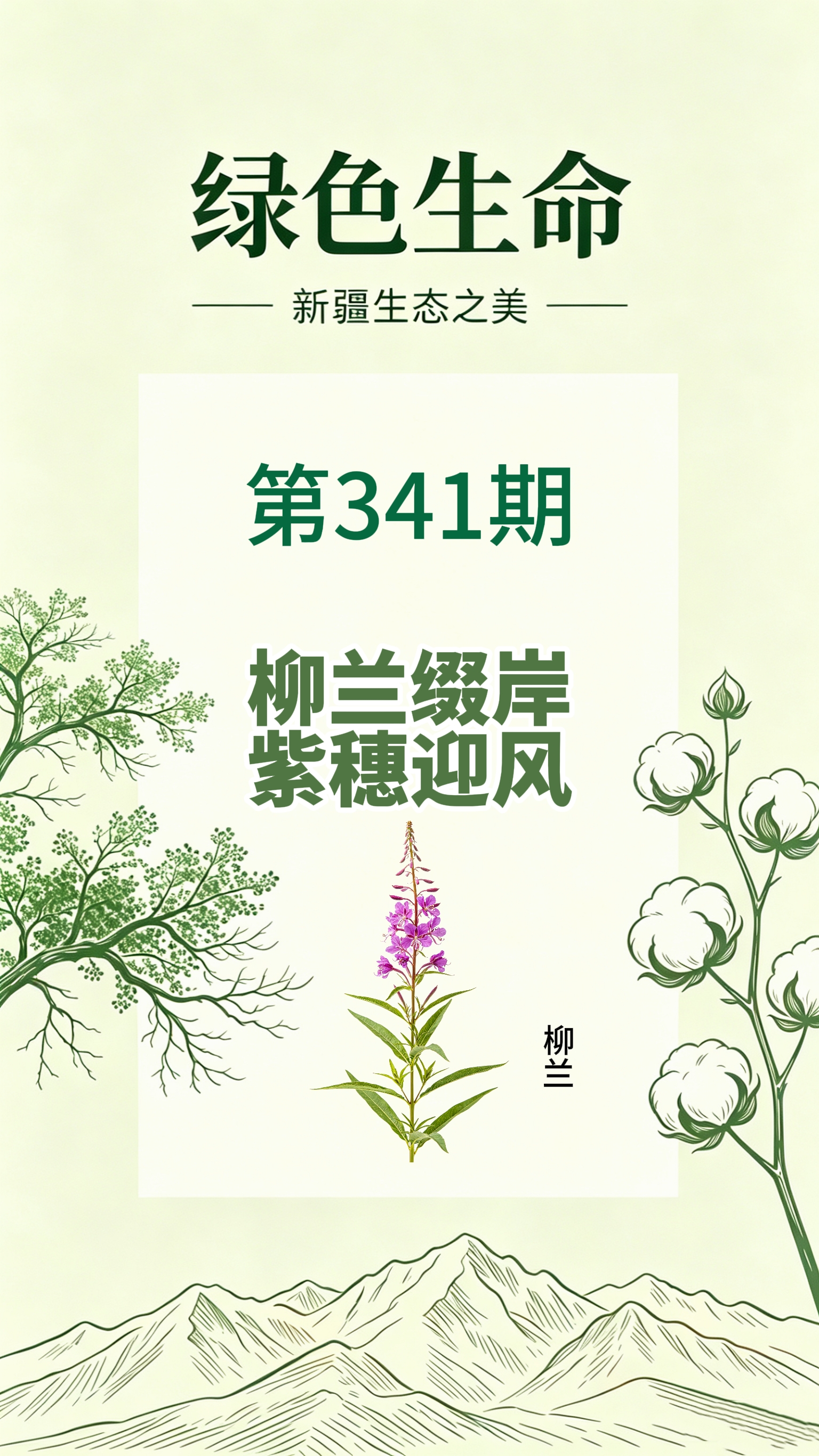 药材科普