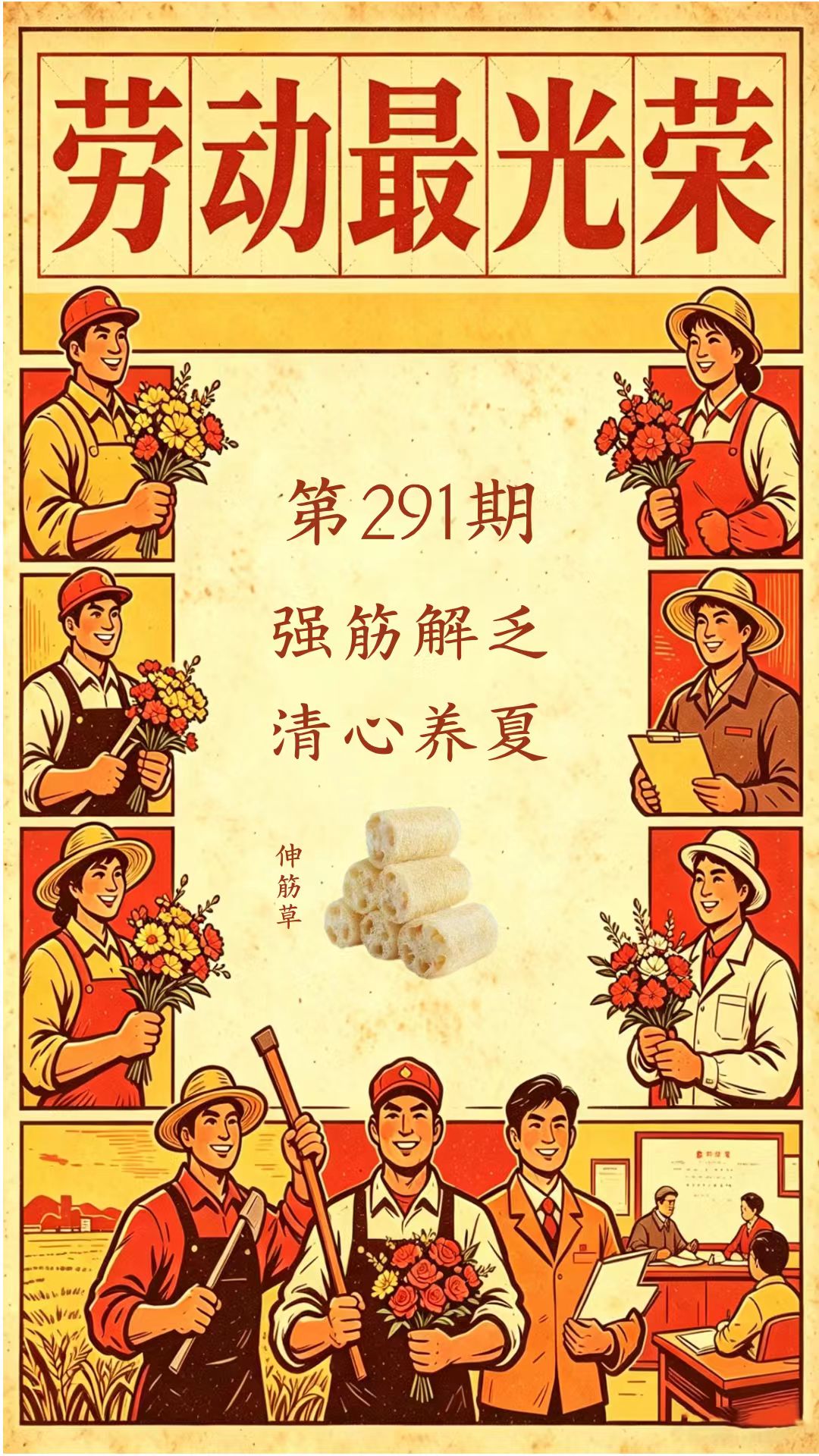 药材科普